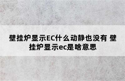 壁挂炉显示EC什么动静也没有 壁挂炉显示ec是啥意思